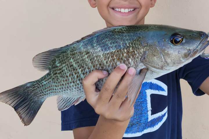 a young boy holding a fish