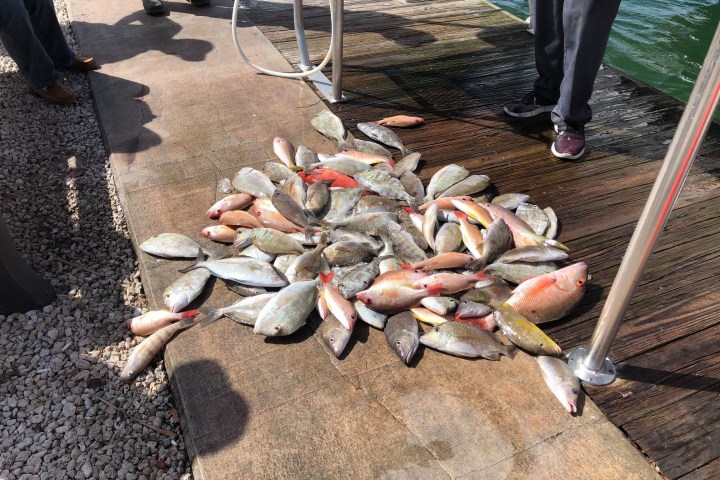 a group of people that are standing in the sand